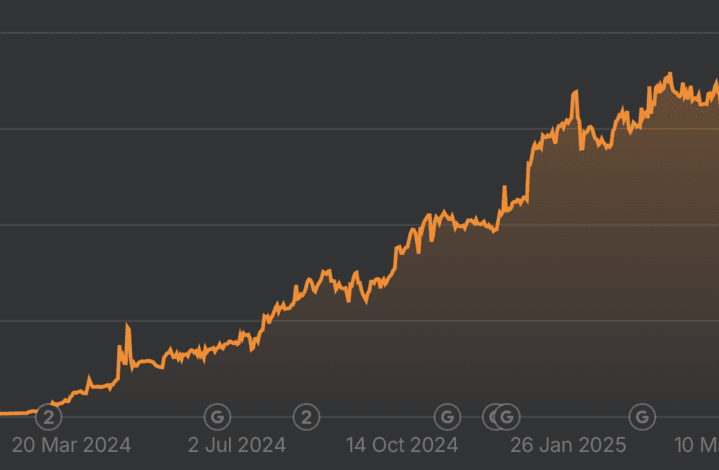 Spacegarden 5x organic visibility growth chart showing results over 12 months