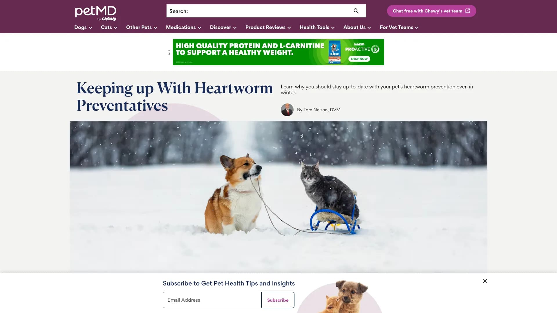 Pet Symptom Checker — dogs & cats