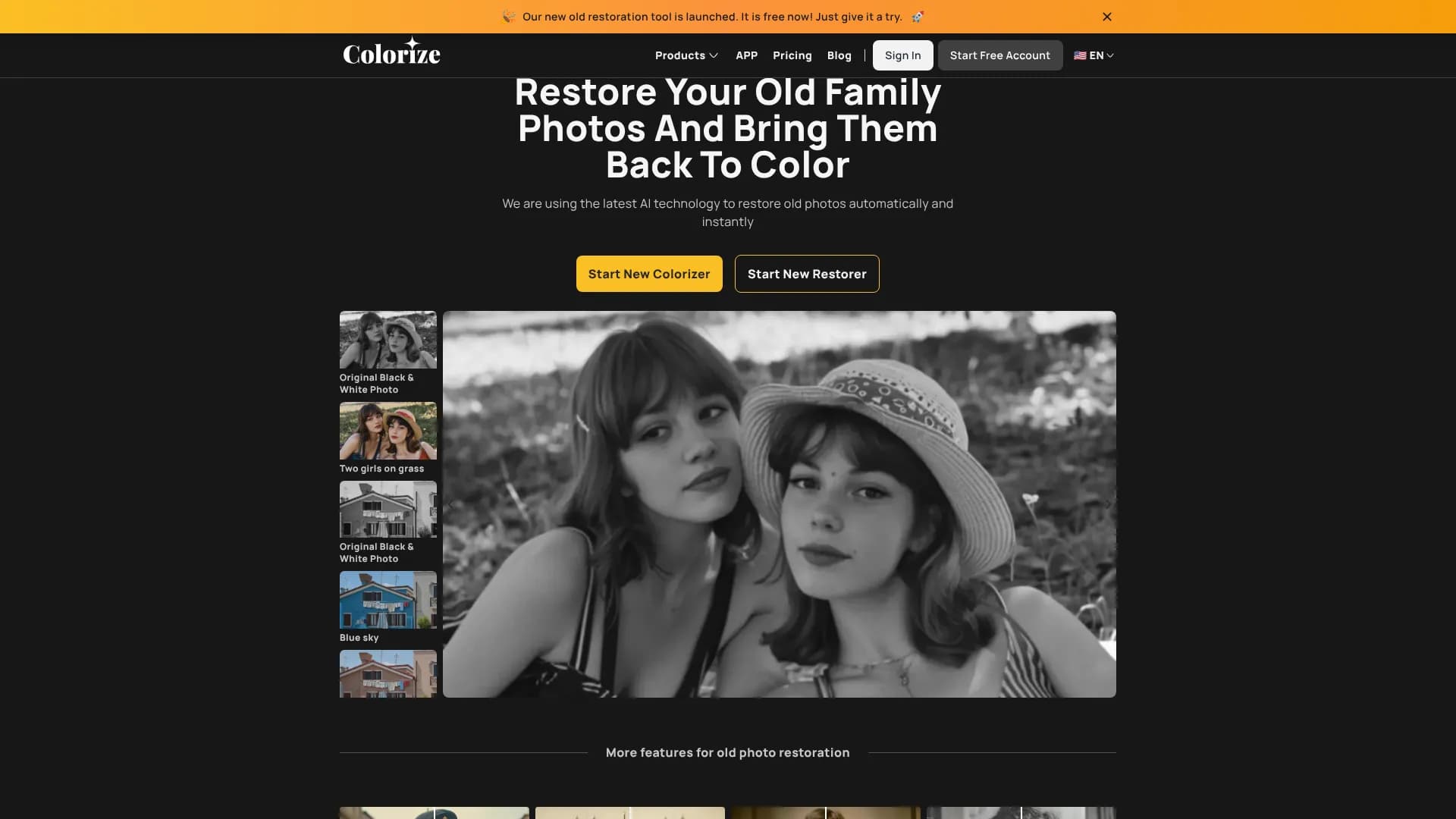 ImageColorizer