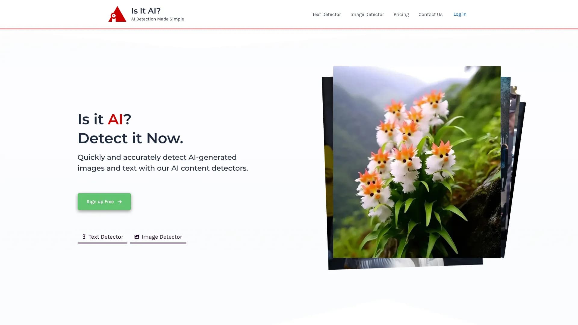 IsItAI — AI Image Detector
