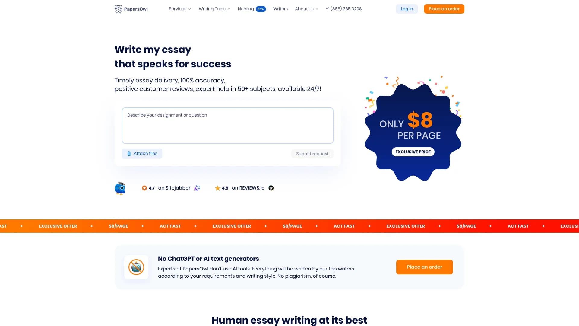 PapersOwl AI Content Detector