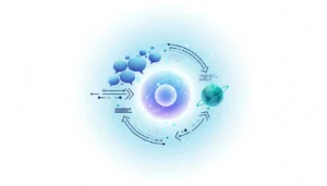OpenAI Productizes ChatGPT Translation Tool